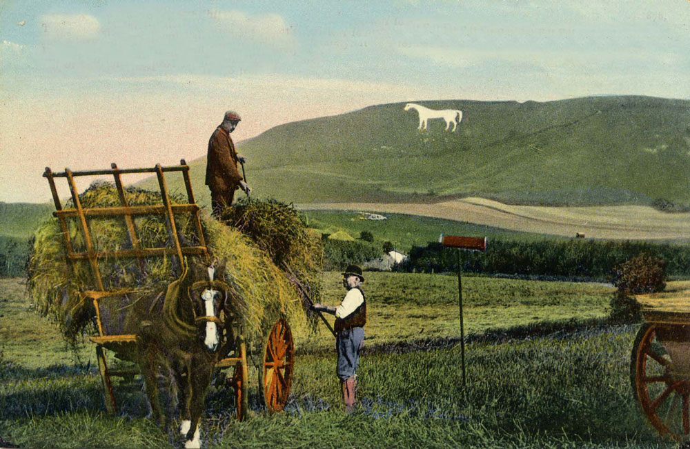 00117-w-horse-haymaking- Horse Gallery