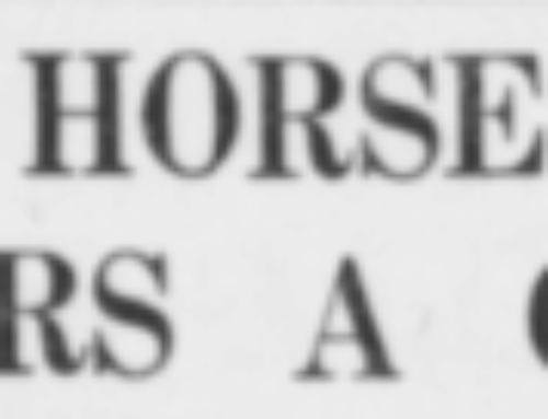 Trooper – Westbury’s other horse!